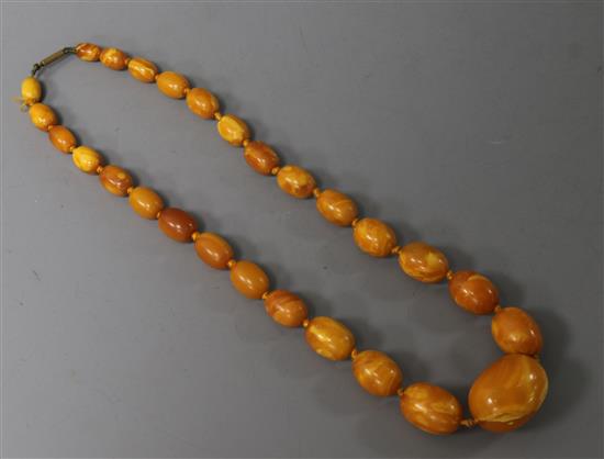 A single strand graduated amber bead necklace, gross weight 28 grams, 40cm.